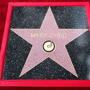 Hollywood: Diese Stars holen sich 2027 Walk-of-Fame-Stern