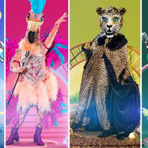 Alle Masken raus: Wer ist euer "The Masked Singer"-Liebling?