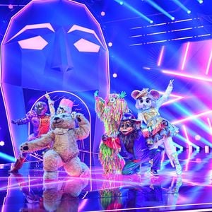 "The Masked Dancer"-Finale: Diese vier Stars könnten es sein
