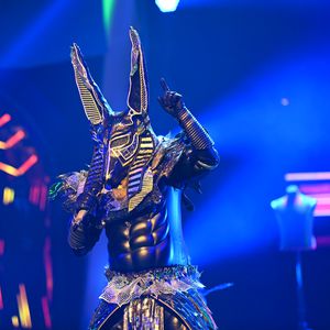 Anubis vs. Katze: Zweiter "The Masked Singer"-Finalist steht