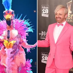 "The Masked Singer": Passen die Flamingo-Indizien zu Ross?