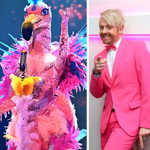 Fans überzeugt: "The Masked Singer"-Flamingo ist Ross Antony