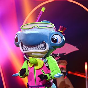 Geheimnis gelüftet: Er ist "The Masked Singer"-Hammerhai