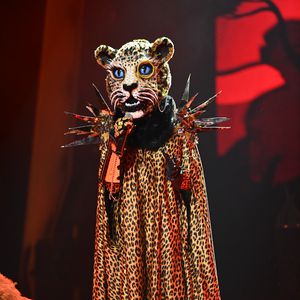 Erstes Mal: Der "The Masked Singer"-Leopard singt im Stehen!