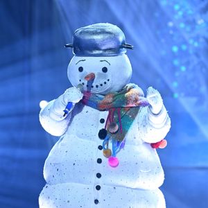 Dieser Star steckte unter "The Masked Singer"-Schneemann