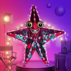 Neue "The Masked Singer"-Staffel: Das ist die nächste Maske!