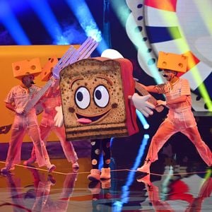 "The Masked Singer"-Halbfinale: Dieser Promi war der Toast
