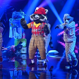 Bei "The Masked Singer" raus: Dieser Star war der Waschbär!