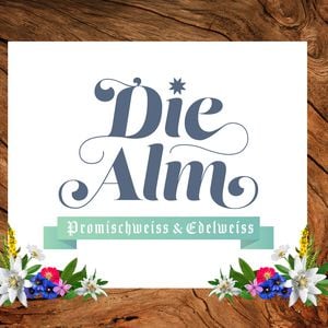 "Die Alm", TV-Show