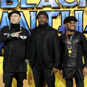 Black Eyed Peas: Mit James Cameron ins Kino