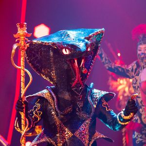 "Masked Singer"-Mamba: Ist es GZSZ-Felix von Jascheroff?