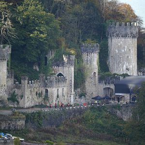 Wegen Krabbeltieren: Ermittlungen gegen das UK-Dschungelcamp