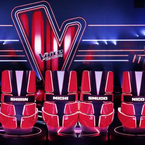 Diese "The Voice of Germany"-Coaches kehren 2025 zurück