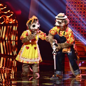 Erdmännchen sind nicht das erste "The Masked Singer"-Paar!
