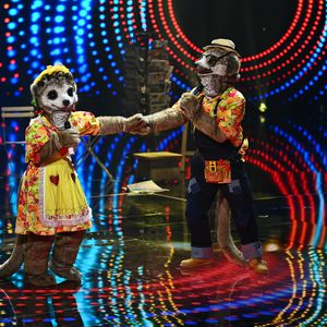 "The Masked Singer" – alle Indizien zu den Erdmännchen!