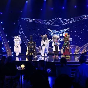 Finale: Diese Maske gewinnt "The Masked Singer" 2026