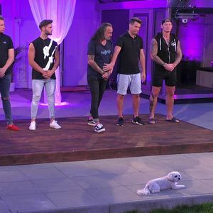 Der nächste Mann verlässt  freiwillig "Coras House of Love"!