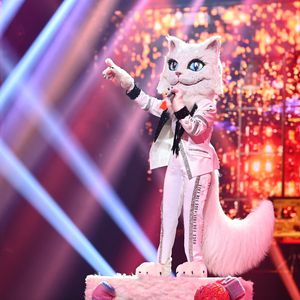 Wer ist die Katze bei "The Masked Singer"? Alle Indizien!
