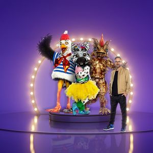Diese Stars sind laut Voting bei "The Masked Singer" dabei!