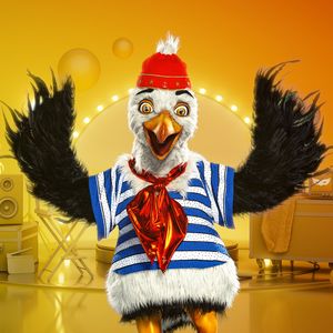 Die "The Masked Singer"-Möwe ist raus: Er steckte dahinter!