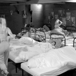 "Pervers": Tim und Emma haben vor anderen Promihof-Stars Sex