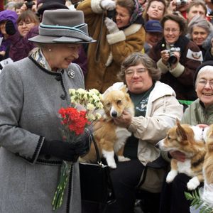 William verrät: Queen (95) geht noch selbst mit Hunden Gassi