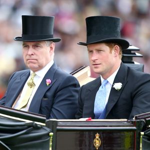 Prinz Andrew und Harry: Keine Vertretung für König Charles!