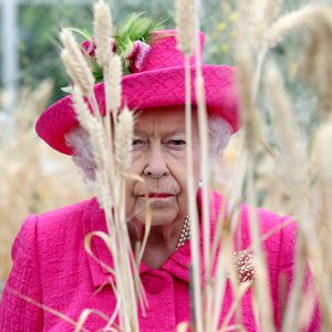 Große DVD-Sammlung: Auf diese Krimi-Serien steht die Queen!