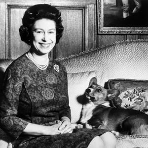 Süßes Denkmal für Queen Elizabeth und ihre Corgis enthüllt