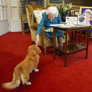Diese Royals haben die Corgis von Queen Elizabeth II. geerbt