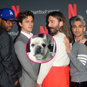 Traurig: "Queer Eye"-Bulldogge Bruley ist verstorben