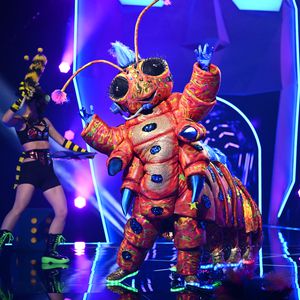 Die "The Masked Singer"-Raupe: Alle Indizien zum Mitraten