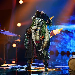 Wer ist die "The Masked Singer"-Schildkröte? Alle Indizien!