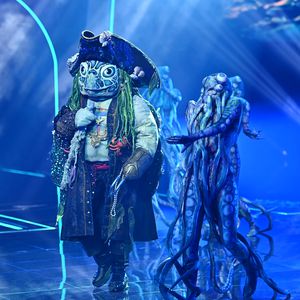 Finale: Alle Indizien zur "The Masked Singer"-Schildkröte