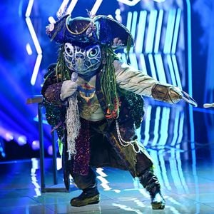 "The Masked Singer"-Schildkröte: Papagei-Indiz enträtselt?