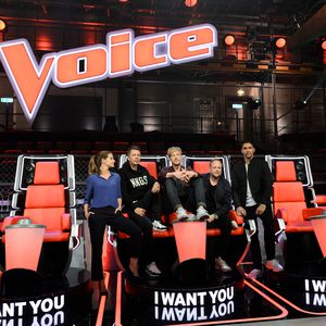 The Voice: Trifft die Y-TITTY Parodie den Kern?