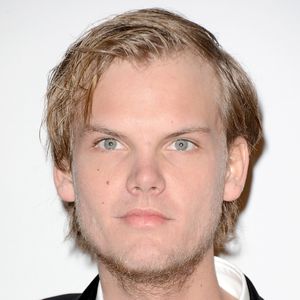 Aviciis letzte Worte: Tagebucheintrag vor Tod veröffentlicht