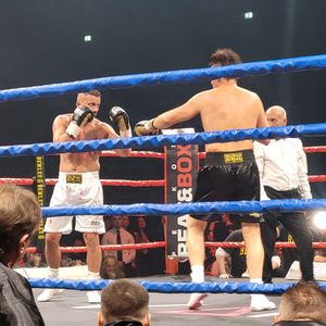 Nach Schlägerei: Ennesto Monté besiegt Domenico im Ring!