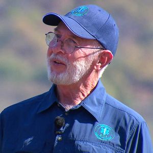 Dr. Bob überzeugt: Dieser Star gewinnt das Dschungelcamp