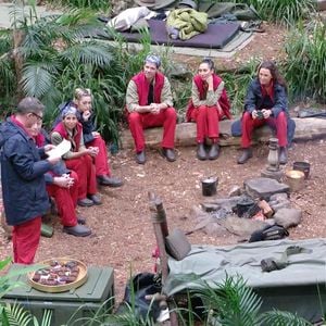 Esel, Schlange und Co.: Im Dschungelcamp wird wild gefeuert