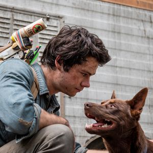 Netflix-Chartstürmer: Erhält "Love and Monsters" ein Sequel?