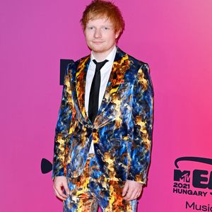 Was? Ed Sheeran lässt Grabkammer auf Anwesen erbauen