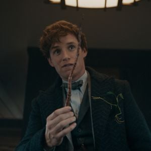 Wegen Zauberstab: Eddie Redmayne hatte total Lampenfieber