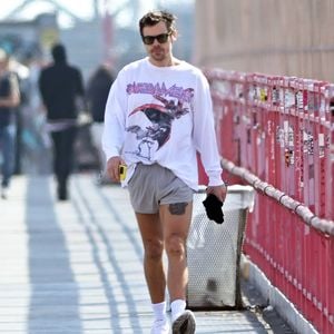 Harry Styles stoppt einen Fan nach riskanter Babyaktion