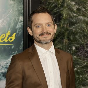 Elijah Wood und seine Freundin wurden heimlich erneut Eltern