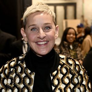 Nach dem Talkshow-Aus: Ellen DeGeneres sucht ein neues Hobby