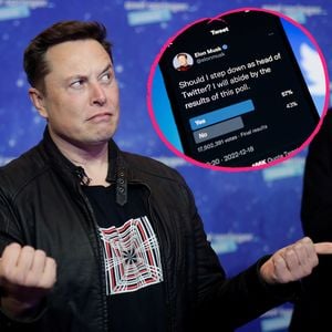 Ganz kurze Amtszeit? User voten für Elon Musks Twitter-Ende
