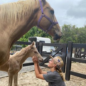 Geburtsvideo: Hier bringt Elsa Pataky ein Fohlen zur Welt