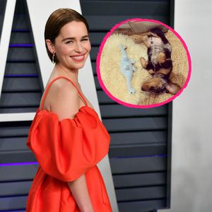 Hündchen Ted: Emilia Clarke total vernarrt in neuen Welpen!