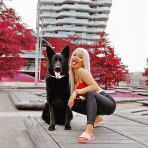 Schock! Airline verliert Emmy Russ' Schäferhund am Flughafen